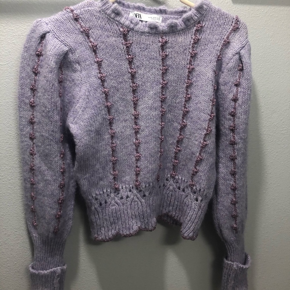 Never Been Worn! Zara Embroidered Sweater